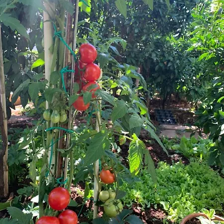 Romantic For Two Persons Pensionat