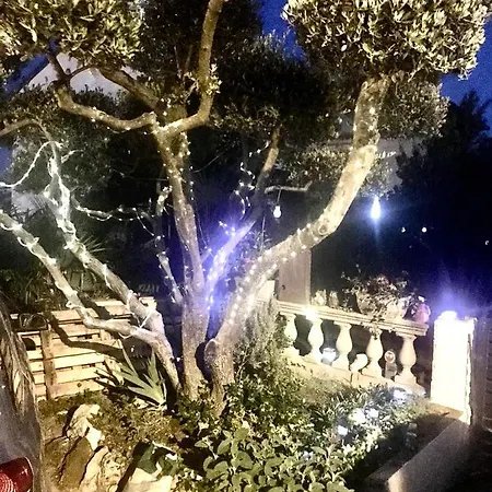 Romantic For Two Persons Guest house