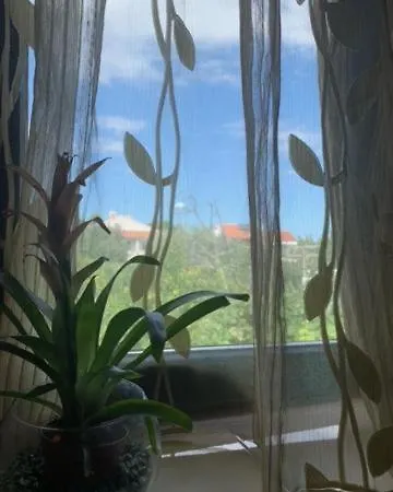 Romantic For Two Persons Guest house Porec