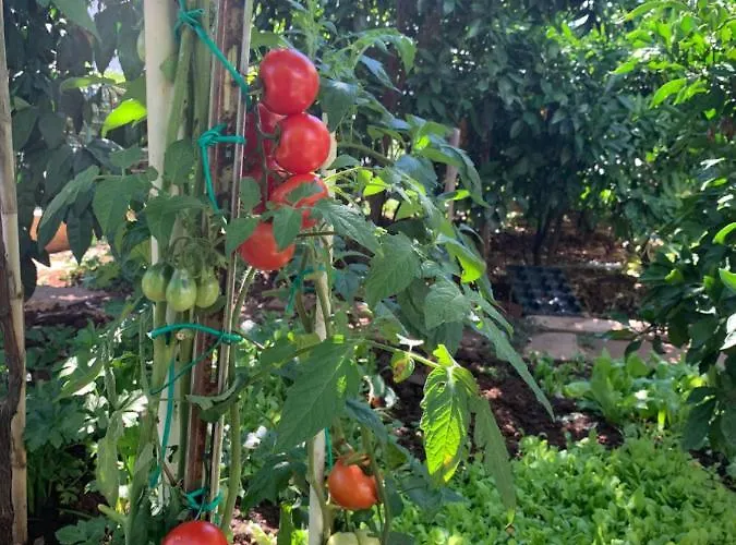 Romantic For Two Persons 게스트하우스