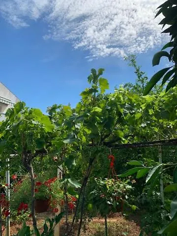 Romantic For Two Persons 3* 포레치