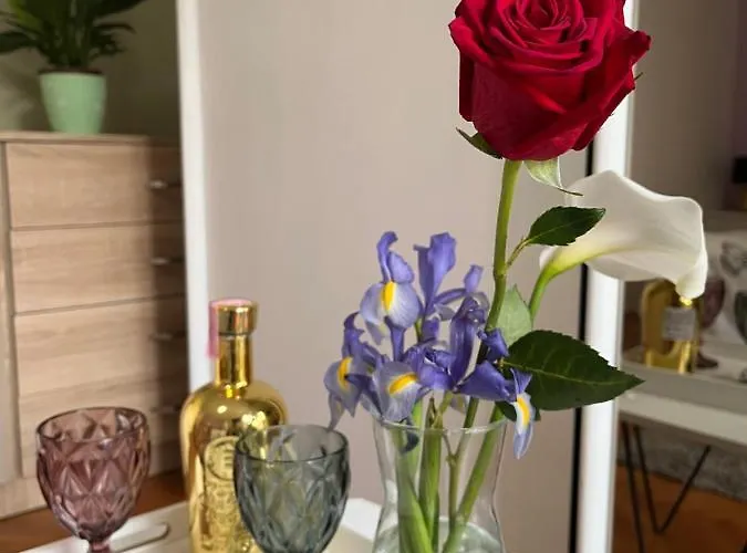 게스트하우스 Romantic For Two Persons