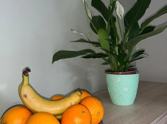 Romantic For Two Persons Poreč