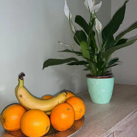 Romantic For Two Persons Poreč